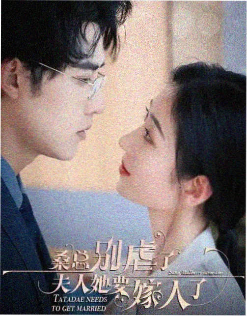 母亲的职业 有声剧版封面